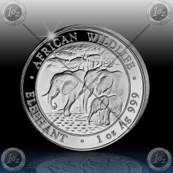 1oz SOMALIJA 2013 1oz SOMALIJA 2013